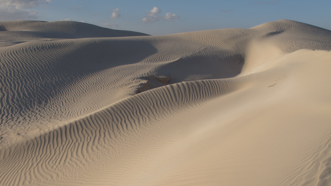Oman deserto bianco