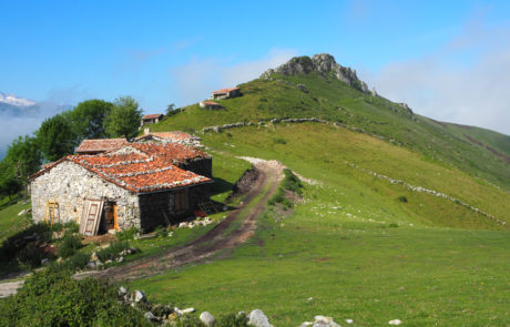 Picos-de-Europa-Cuera-5310016 Alpeggio durante il trekking alla Peña Blanca