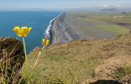 Islanda-Dirolahey-0987