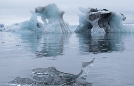 Islanda-Jokulsarlon-5359