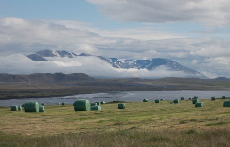 Islanda-Osar-0173