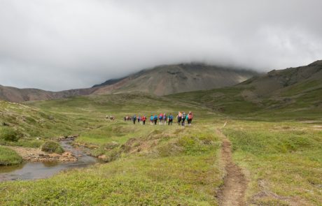 Islanda-Stafafell-0696
