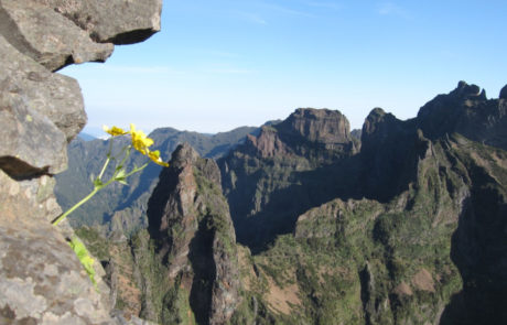 Madeira-Pico-Ruivo-339