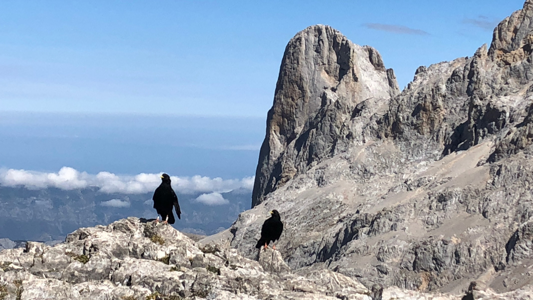 Naranjo de Bulnes nel massiccio dei Picos de Europa