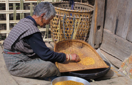 Trekking-Bhutan-donna che pulisce il grano