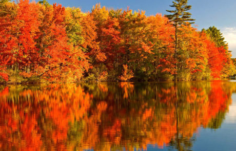 Trekking-estate-indiana-Canada-Quebec-2018-5 trekking-Canada-Quebec-estate-indiana