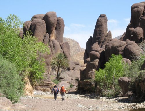 Trekking nell’Alto Atlante – Djebel Siroua