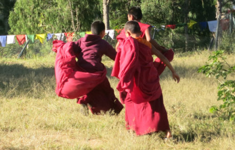 Bhutan-3969 Bhutan-monaci-dzong-trekking