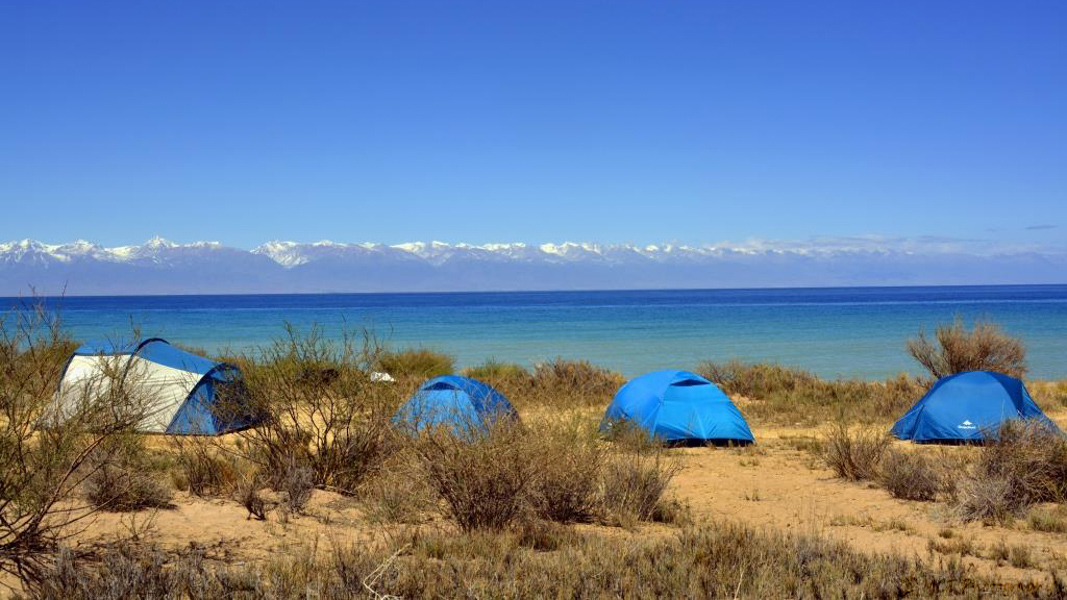 Campo sul lago Issyk Kul