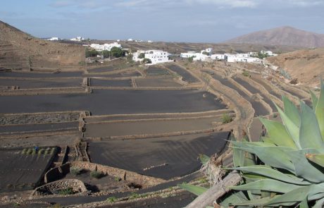 Lanzarote–2