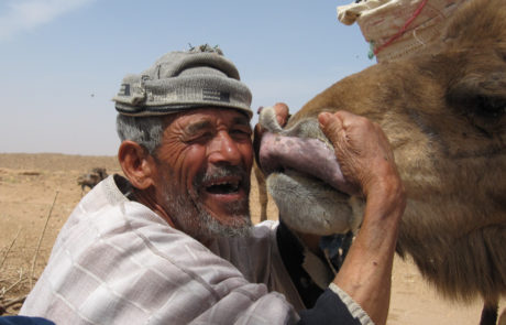 Marocco-trekking-Siroua-Deserto-Draa-1233 Lo stretto legame tra il cammelliere e il suo animale