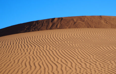 Marocco-Chegaga-1090924 Trekking tra le dune di Chegaga