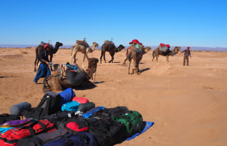 Marocco-Chegaga-1101147