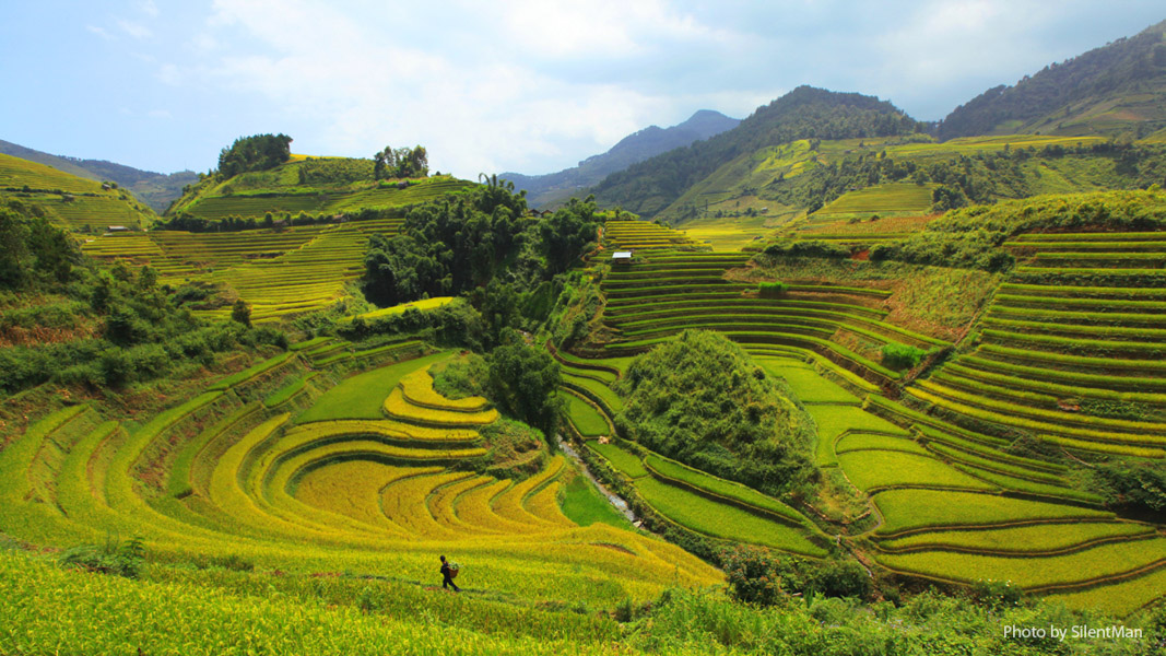 Trekking in Vietnam -A piedi tra le risaie di Sapa