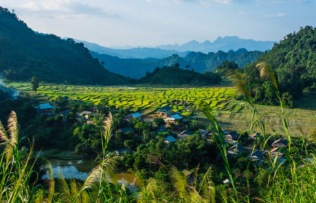 Trekking in Vietnam – le risaie di Ninh Binh-7 Trekking in Vietnam - le risaie di Ninh Binh