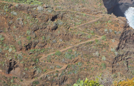 Anthora-LaPalma-2020-2120702 Trekking al Barranco Facundo, costa Nord di La Palma