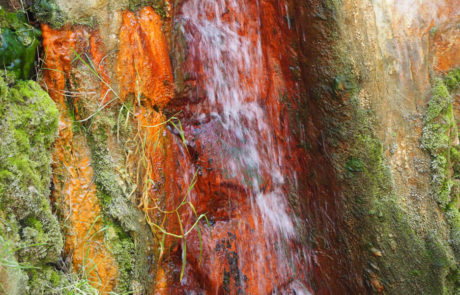 Anthora-LaPalma-2020-2151043 La Cascada de los Colores, nel trekking nella Caldera de Taburiente