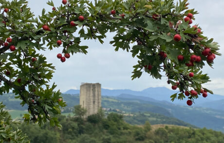 La torre di Rossenella