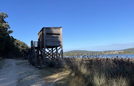 Camino dos faros 15